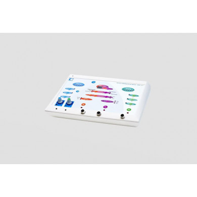 Косметологический аппарат ЭСМА 12.17П РЕВИТАЛЬ